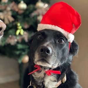 Meet your Posher, Kristy